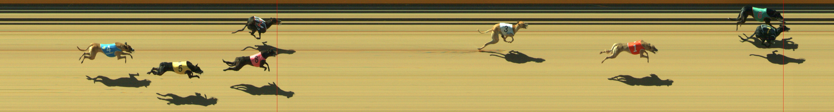 Photo finish for Geelong Race 12
