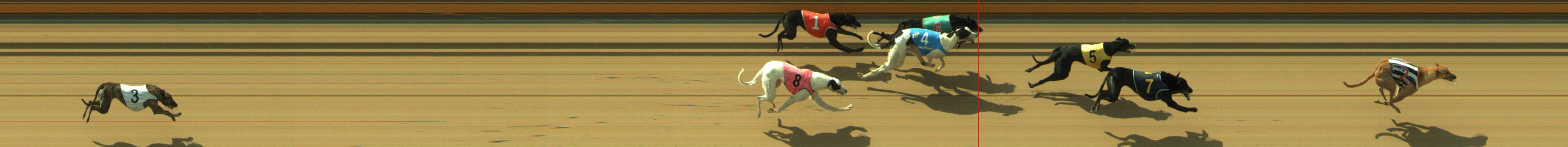 Photo finish for Geelong Race 2