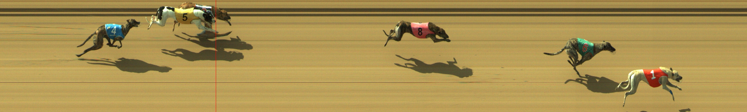 Photo finish for Geelong Race 3