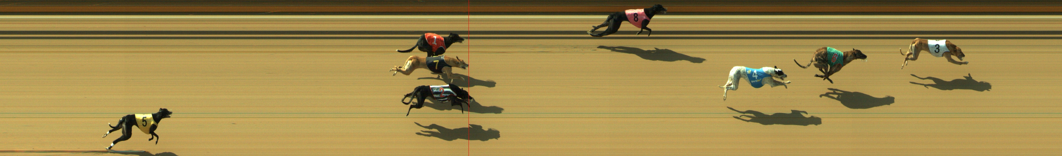 Photo finish for Geelong Race 4