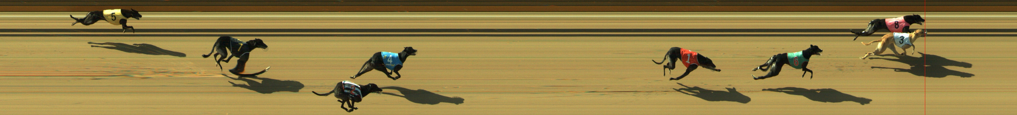Photo finish for Geelong Race 6