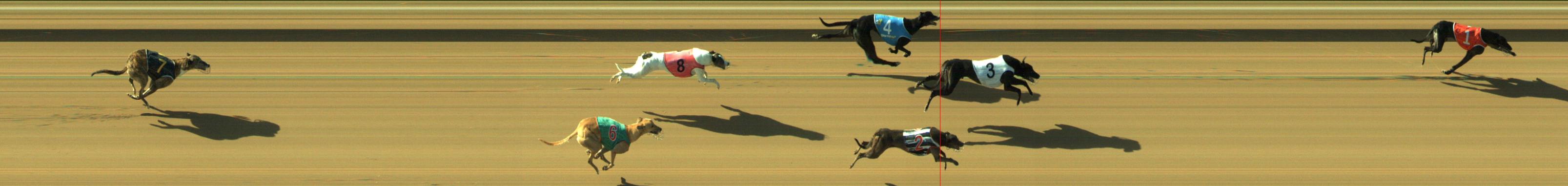 Photo finish for Geelong Race 7
