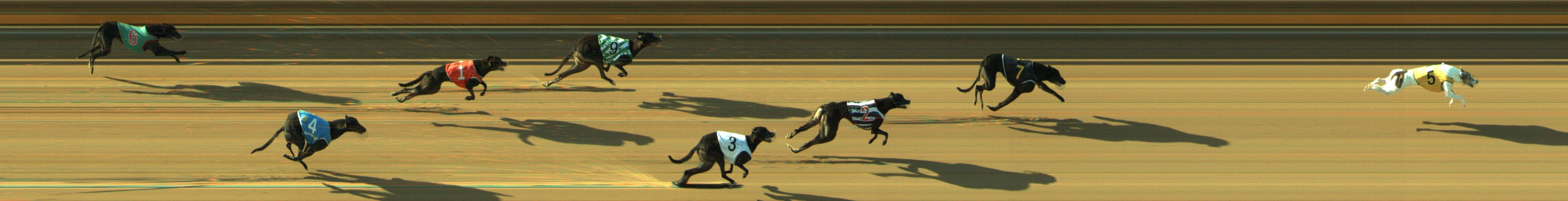 Photo finish for Geelong Race 9