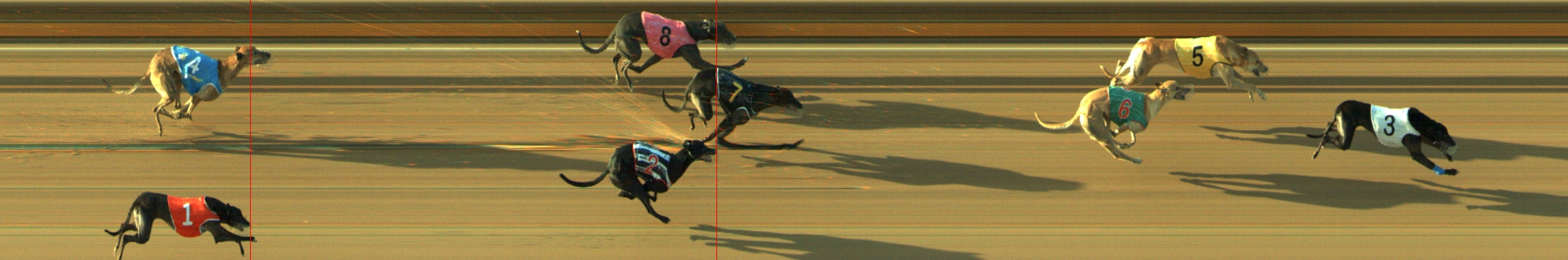 Photo finish for Geelong Race 10