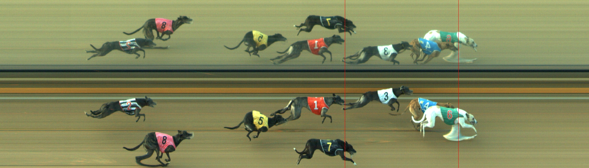 Photo finish for Geelong Race 11