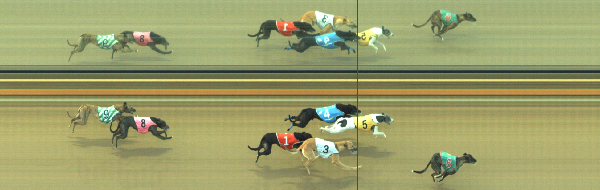 Photo finish for Geelong Race 12