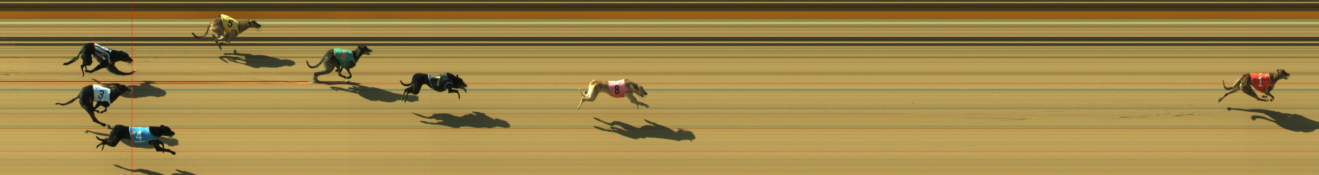 Photo finish for Geelong Race 1