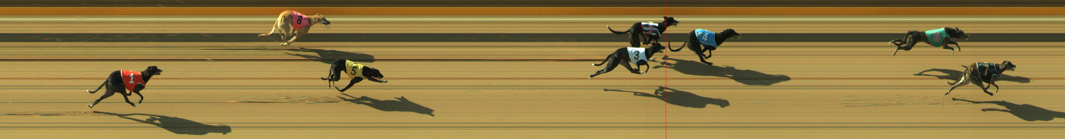 Photo finish for Geelong Race 2