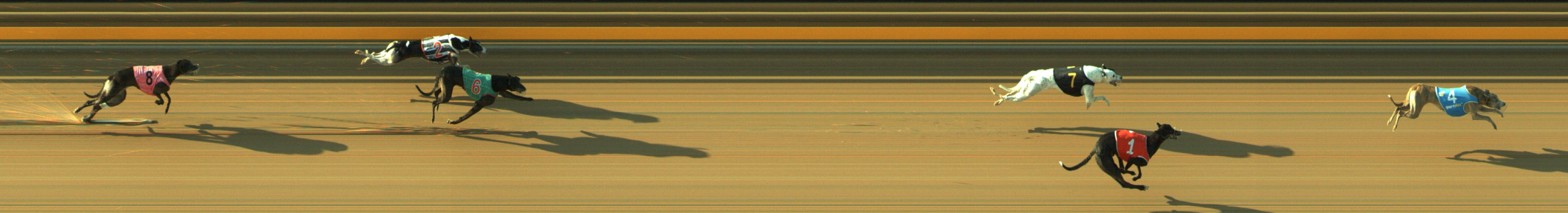 Photo finish for Geelong Race 4