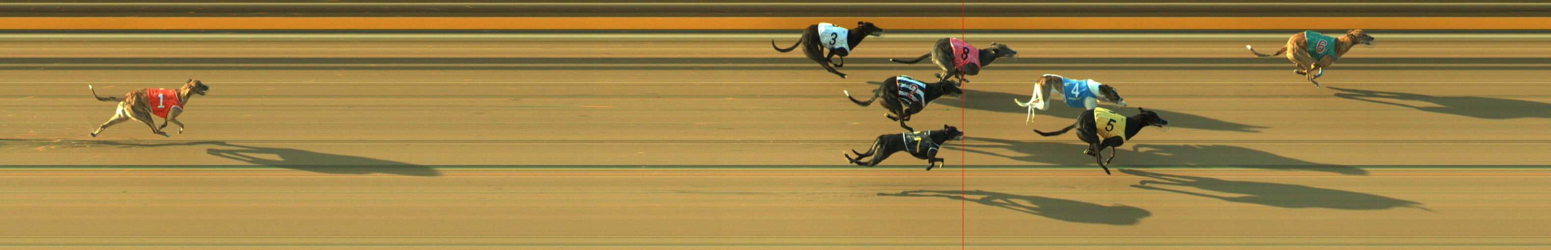 Photo finish for Geelong Race 5