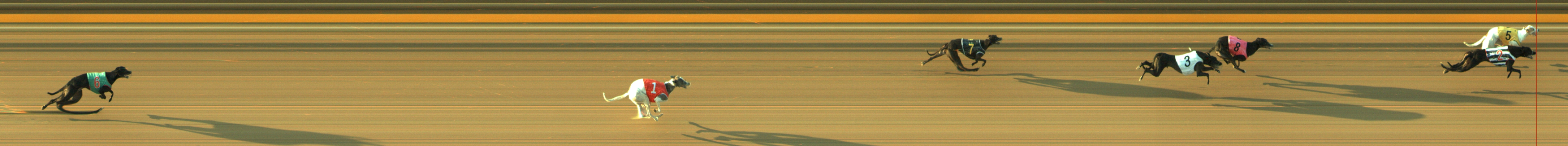 Photo finish for Geelong Race 6