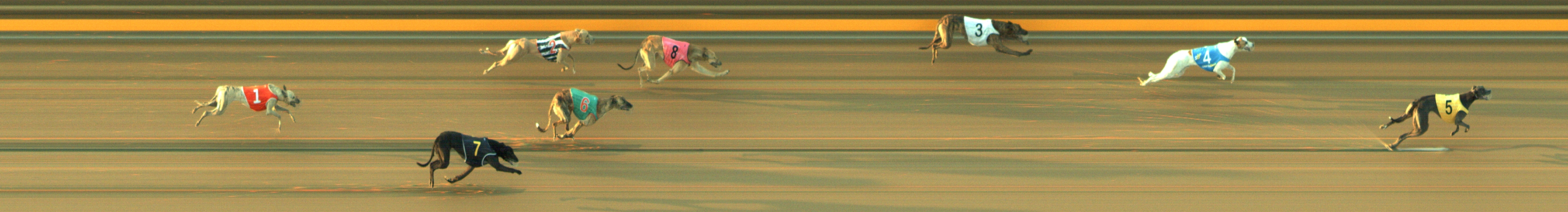 Photo finish for Geelong Race 7