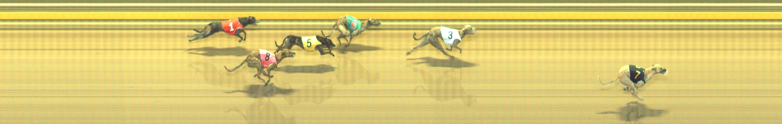 Photo finish for Geelong Race 8