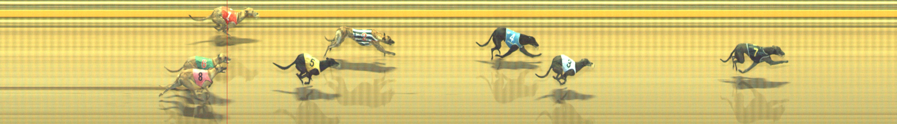 Photo finish for Geelong Race 9