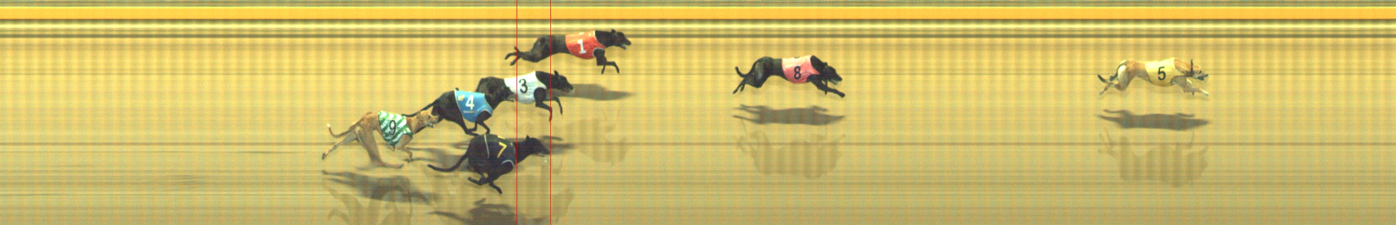 Photo finish for Geelong Race 10