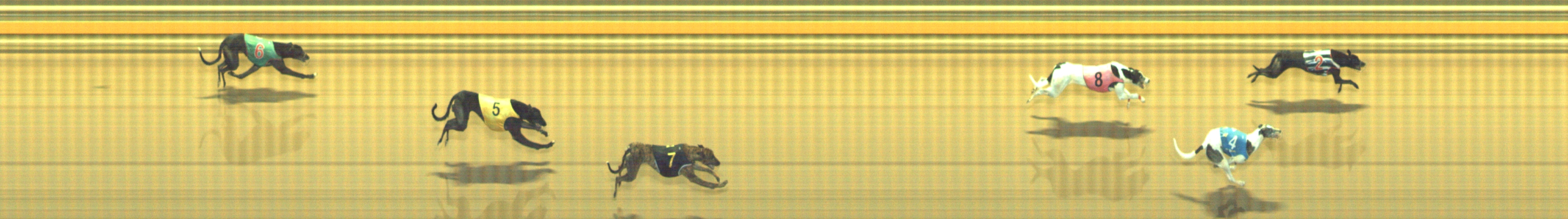 Photo finish for Geelong Race 11