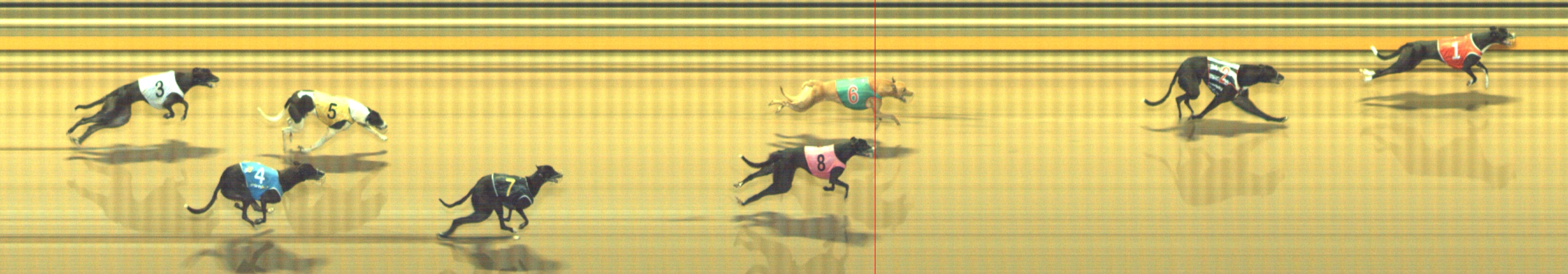 Photo finish for Geelong Race 1