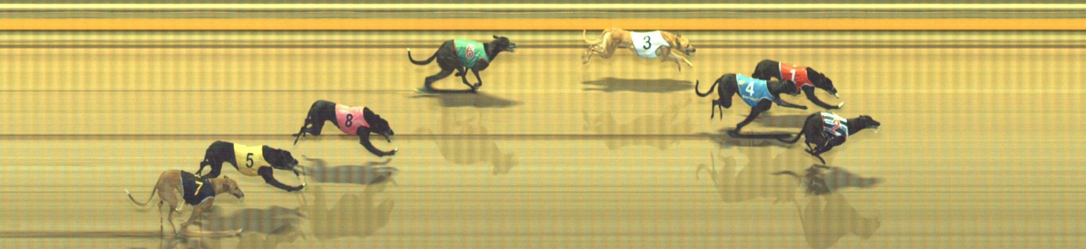 Photo finish for Geelong Race 2