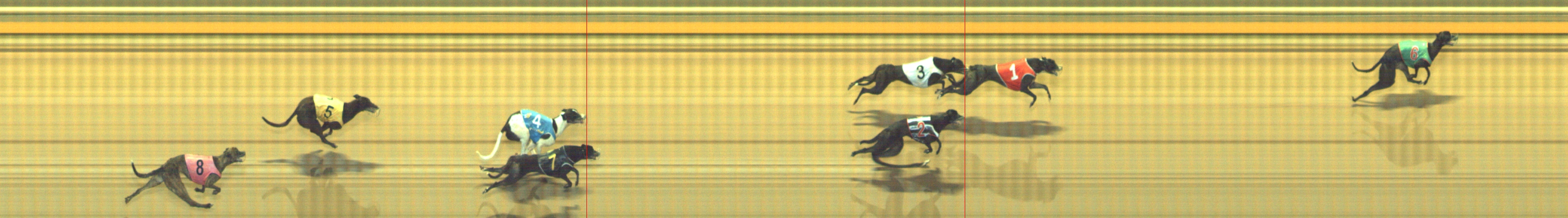 Photo finish for Geelong Race 3