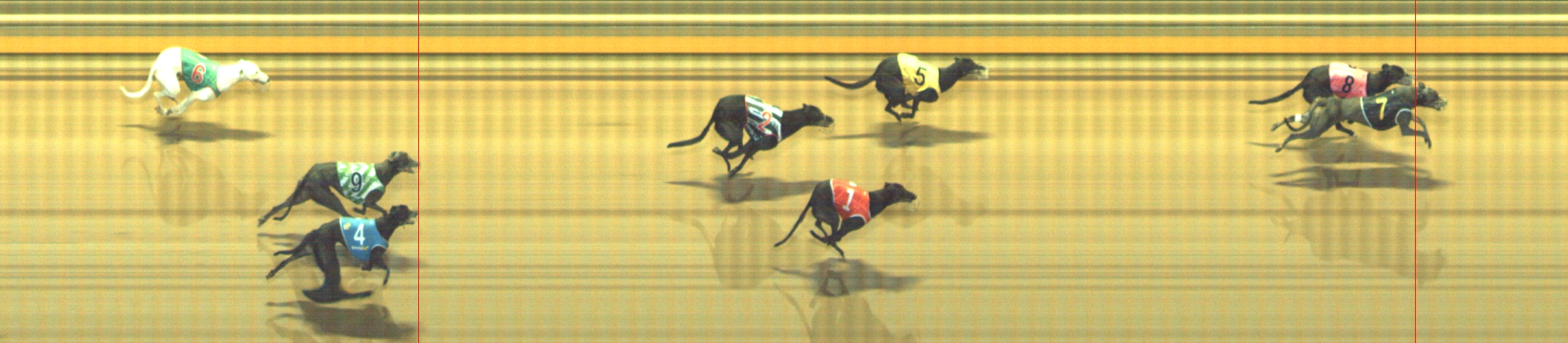 Photo finish for Geelong Race 4