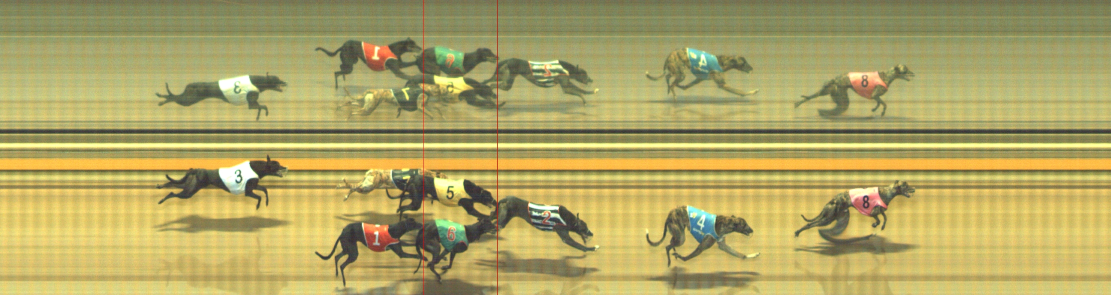 Photo finish for Geelong Race 5