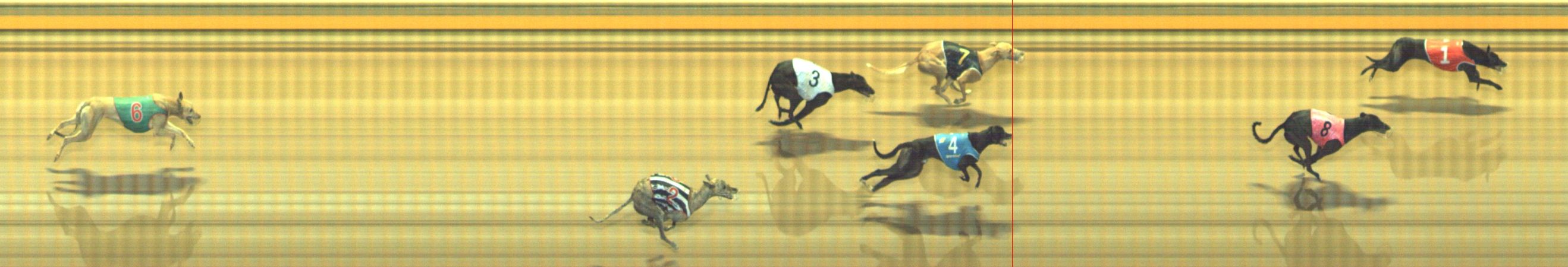 Photo finish for Geelong Race 6