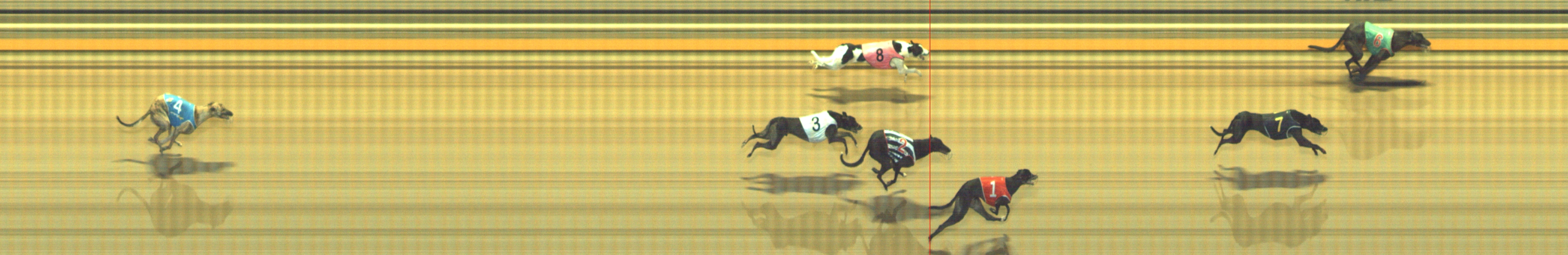 Photo finish for Geelong Race 7