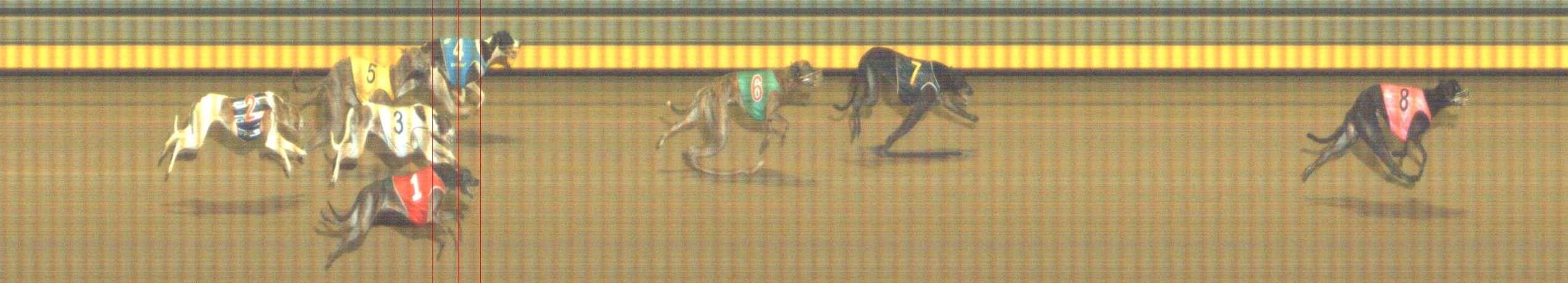 Photo finish for Geelong Race 8