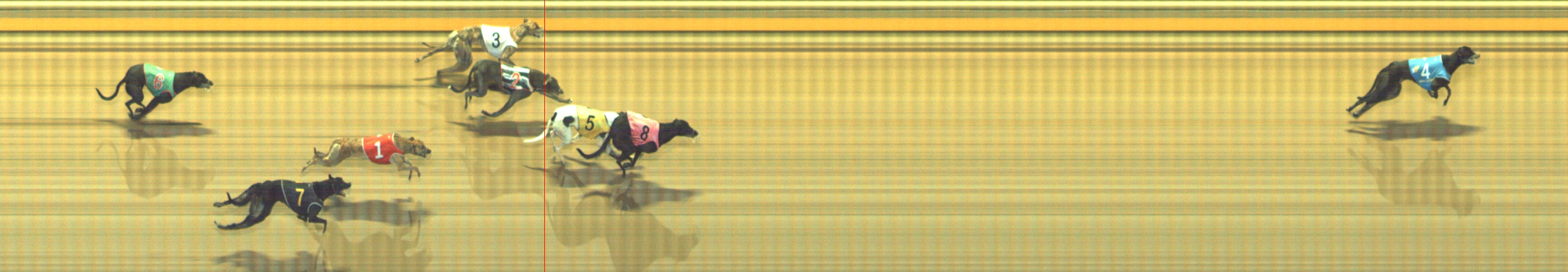 Photo finish for Geelong Race 9