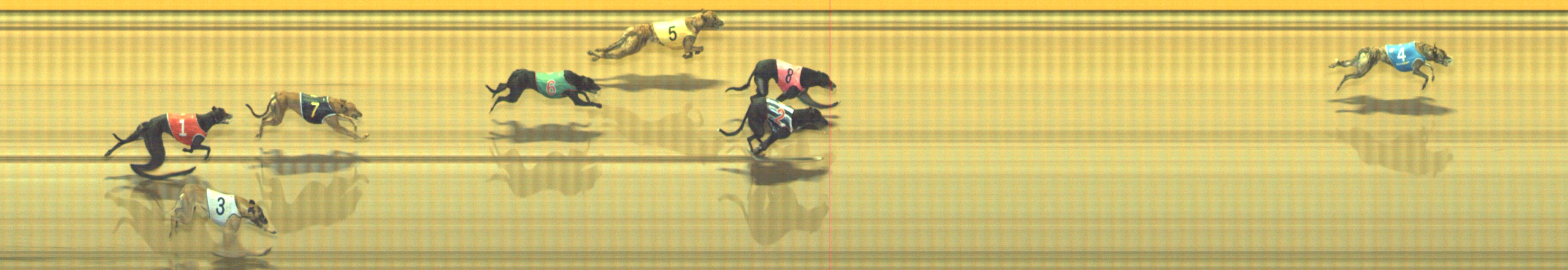 Photo finish for Geelong Race 10