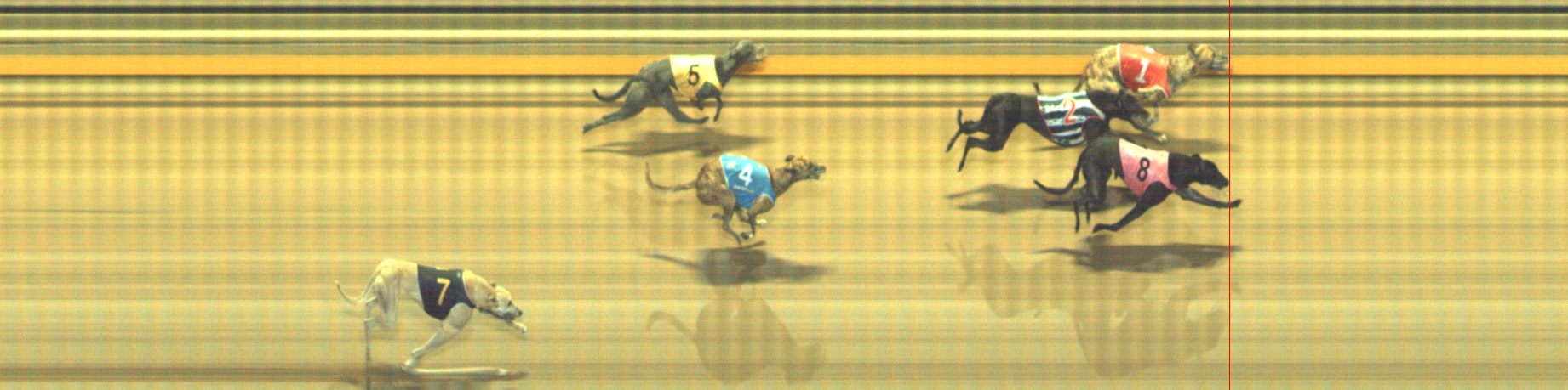 Photo finish for Geelong Race 11