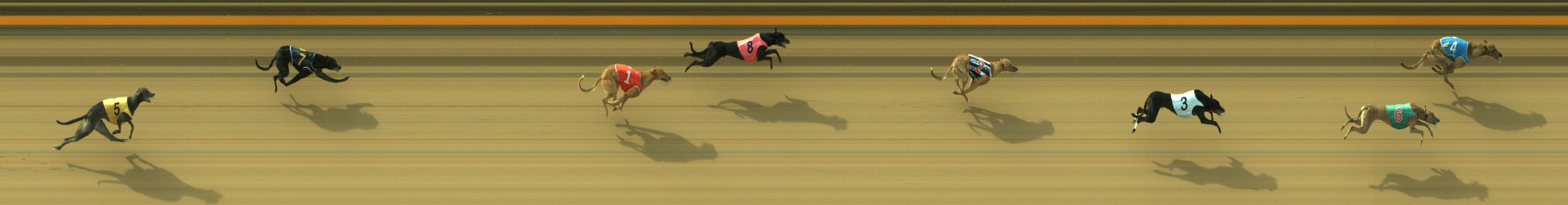Photo finish for Geelong Race 1