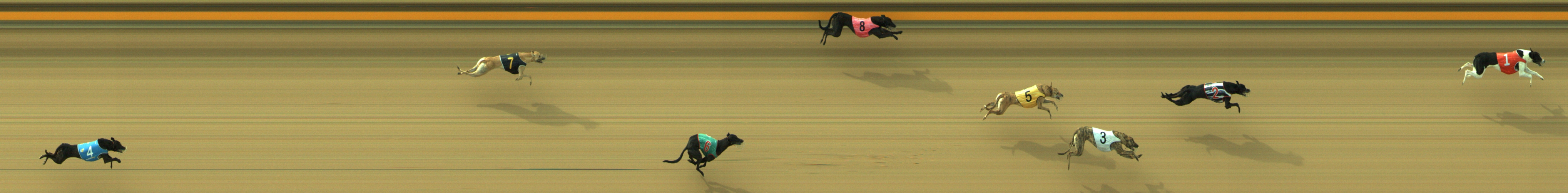 Photo finish for Geelong Race 2