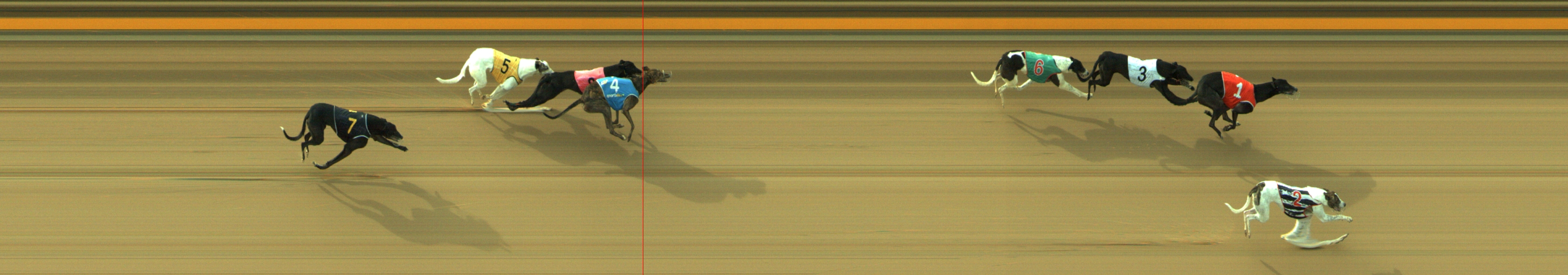 Photo finish for Geelong Race 3