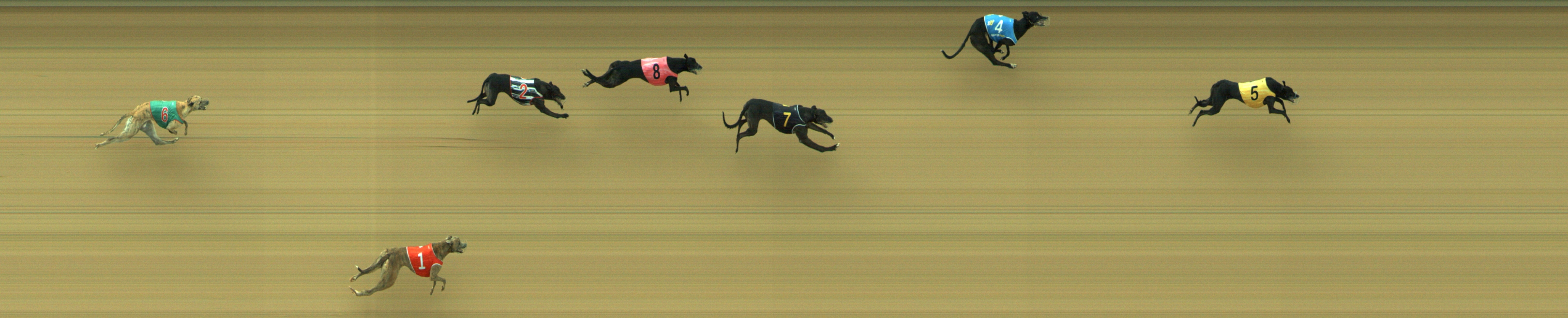 Photo finish for Geelong Race 5