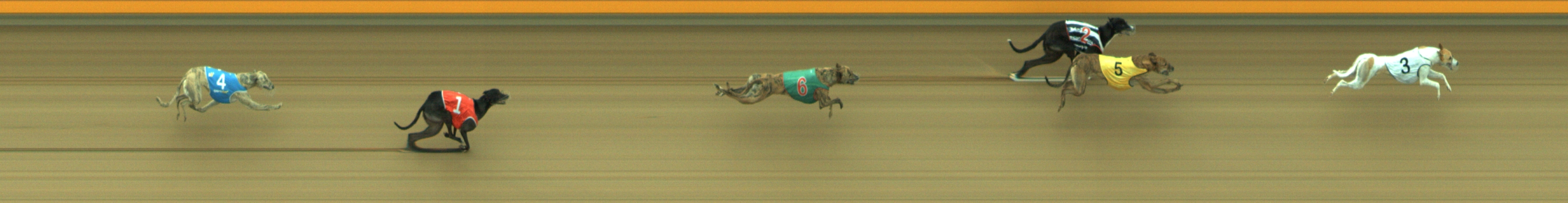 Photo finish for Geelong Race 6