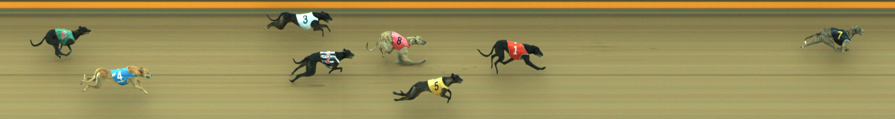 Photo finish for Geelong Race 7