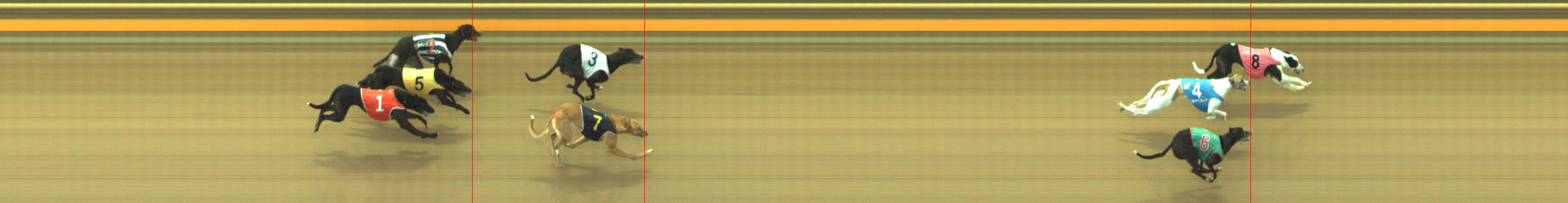 Photo finish for Geelong Race 8