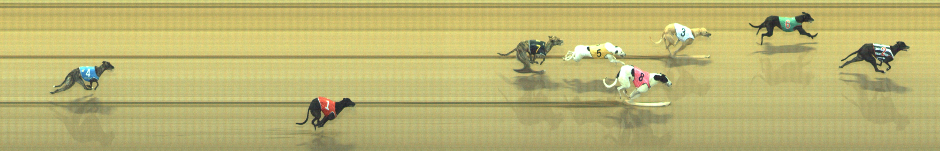 Photo finish for Geelong Race 9