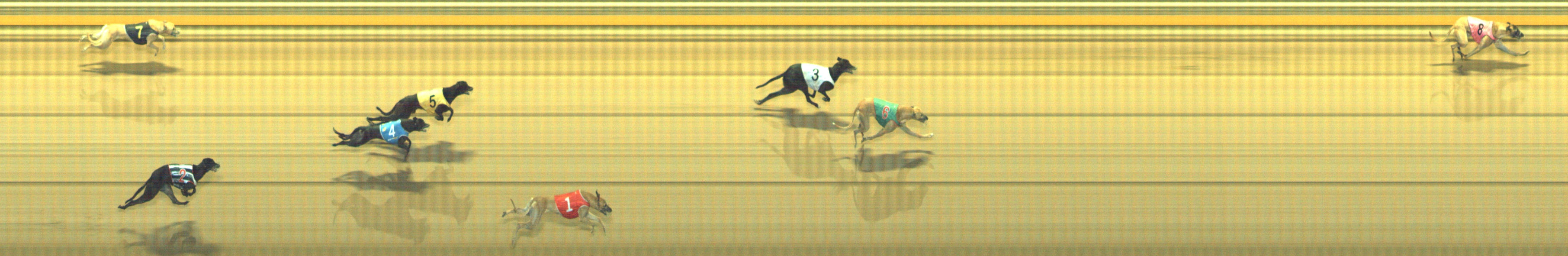 Photo finish for Geelong Race 10