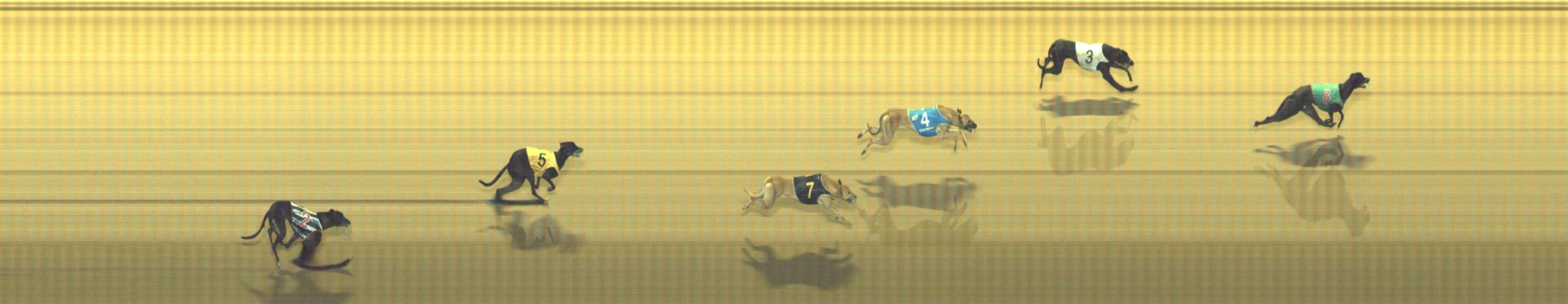 Photo finish for Geelong Race 11