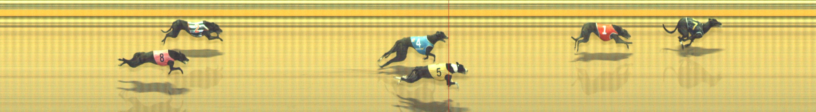 Photo finish for Geelong Race 12