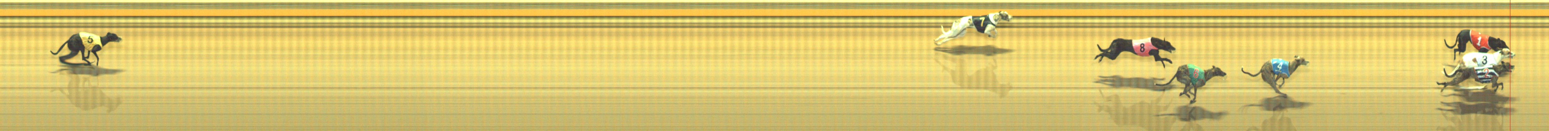 Photo finish for Geelong Race 1