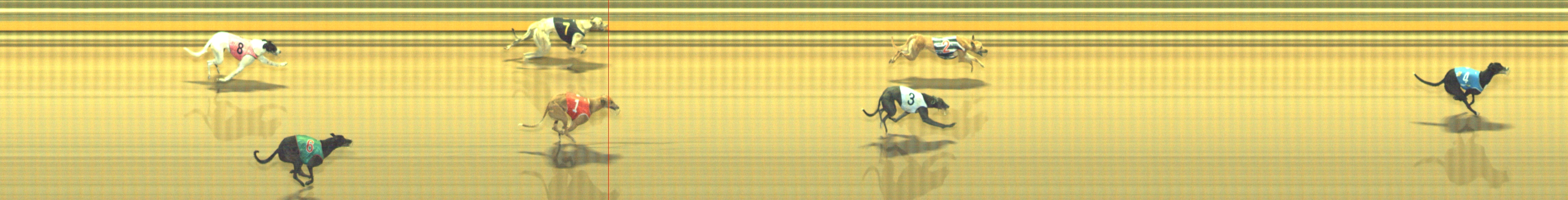 Photo finish for Geelong Race 2