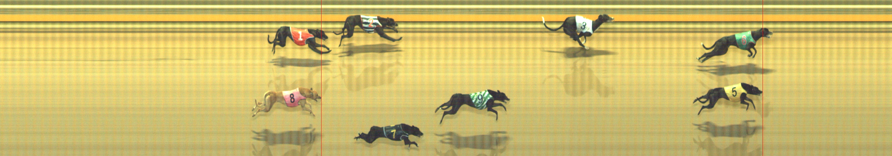 Photo finish for Geelong Race 3