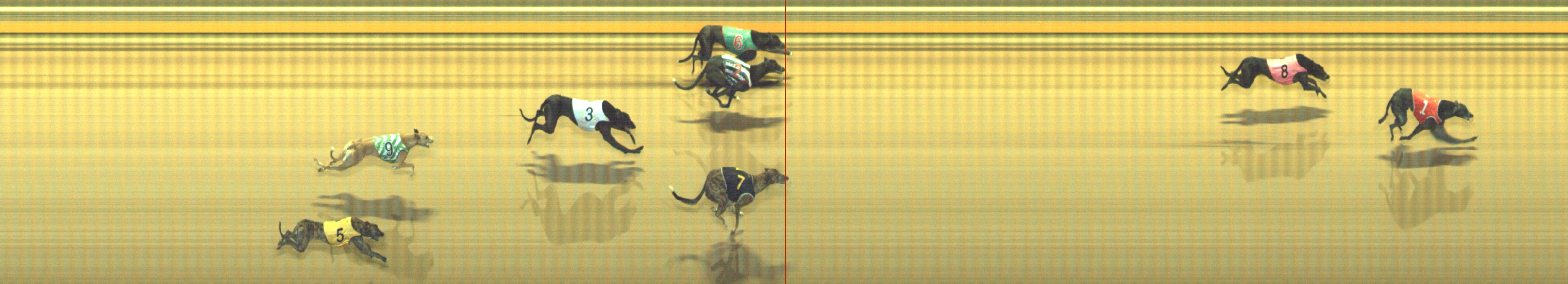 Photo finish for Geelong Race 4
