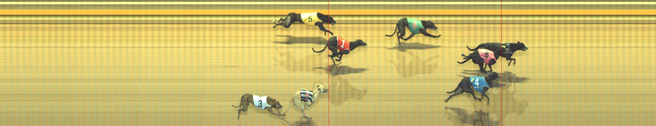 Photo finish for Geelong Race 6