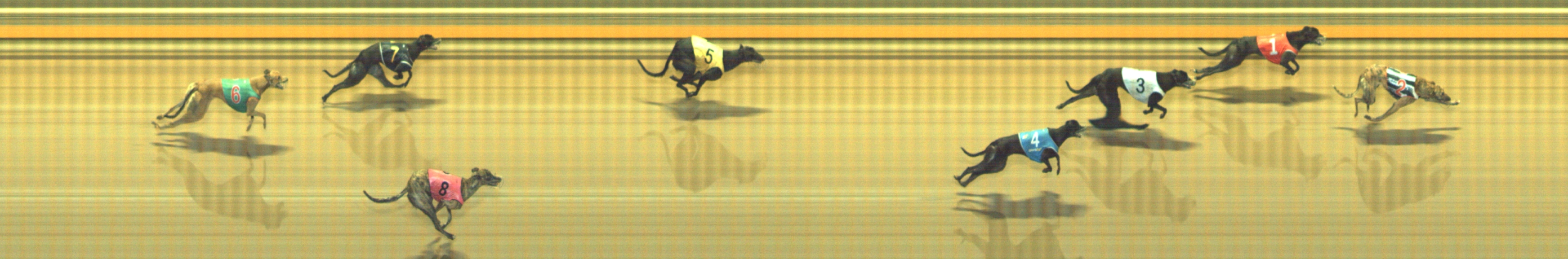 Photo finish for Geelong Race 7