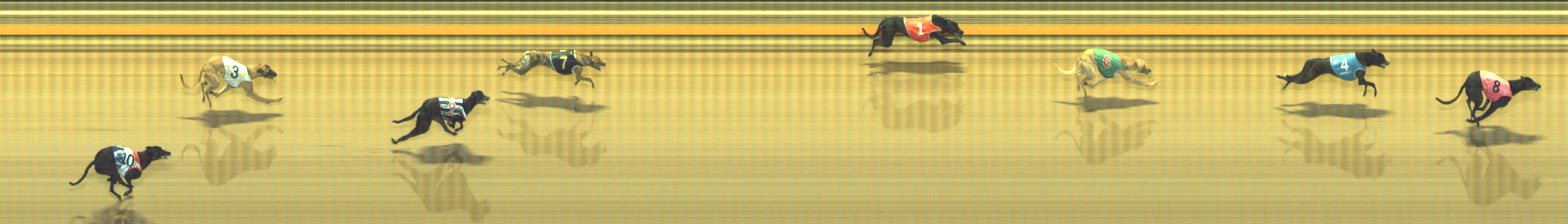 Photo finish for Geelong Race 9