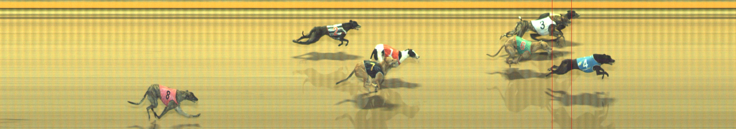 Photo finish for Geelong Race 10